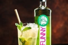 funny-drinks_mojito